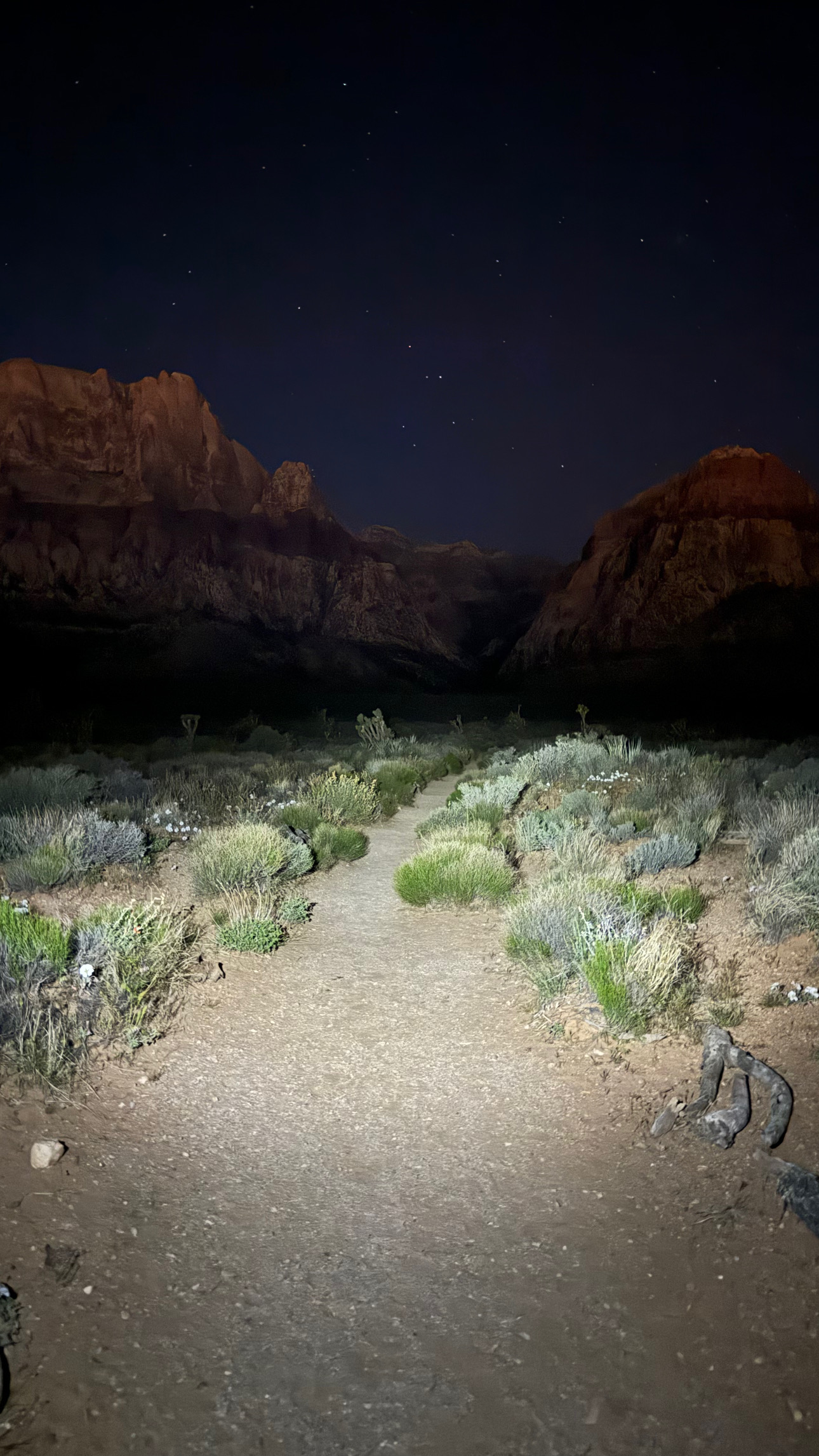 A Nevada desert trail illuminated beneath the night sky