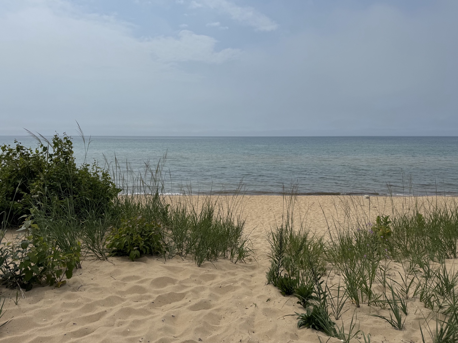 Quiet cloudy beach with dune grass