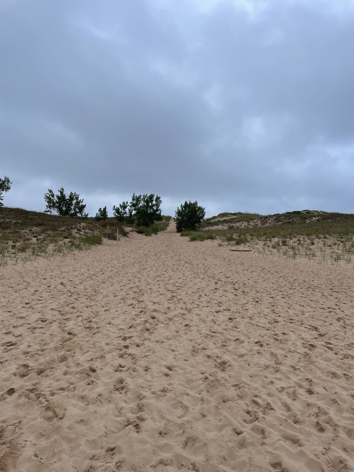 A sandy path beneath a gathering gray sky
