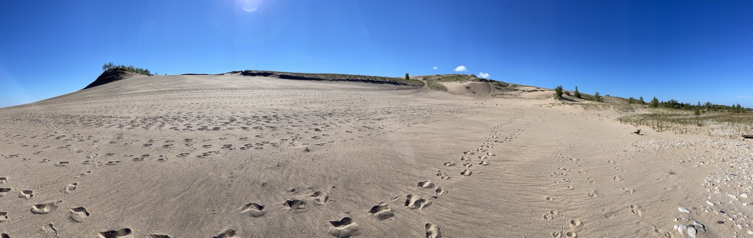 Wide panorama of footprints crossing wind-shaped dunes