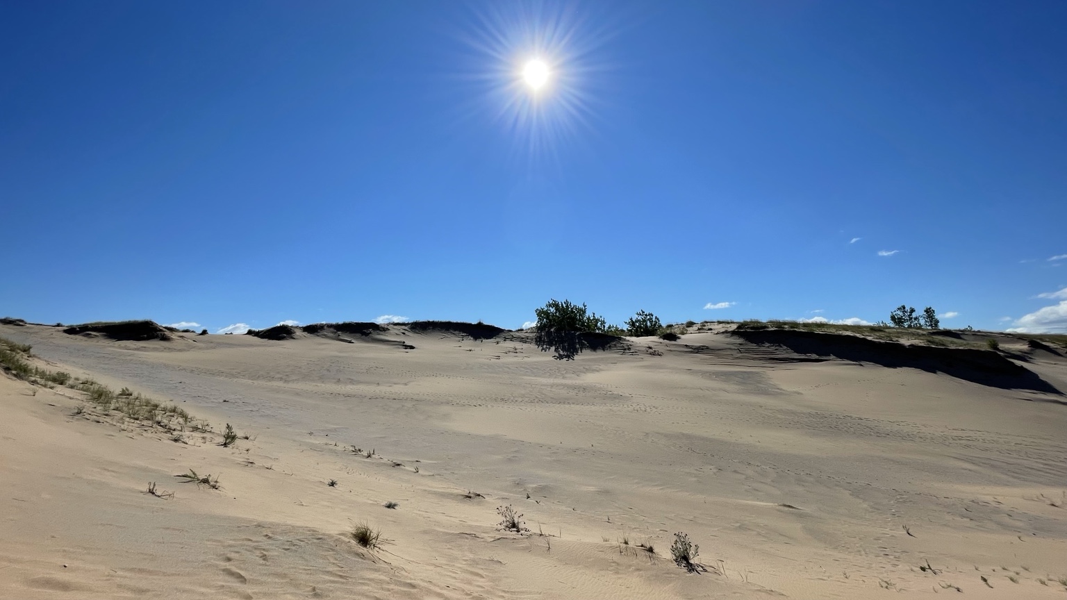 Sun suspended over pale dunes