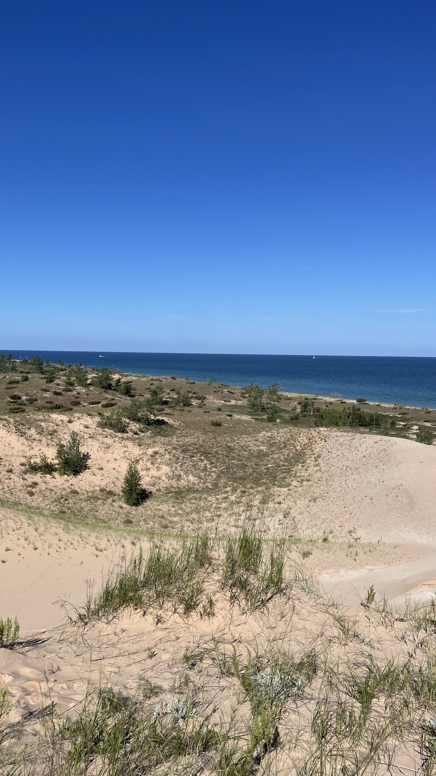 Green dune grass overlooking Lake Michigan